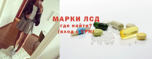 стафф Арсеньев