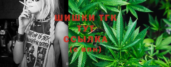крисы Осинники