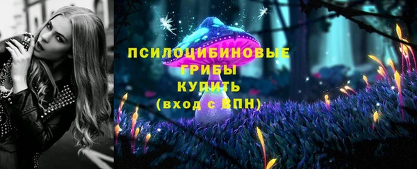 дживик Армянск