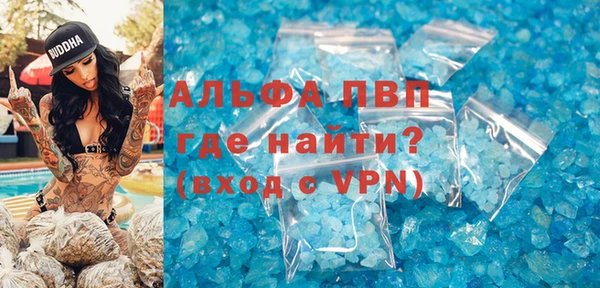 стафф Арсеньев